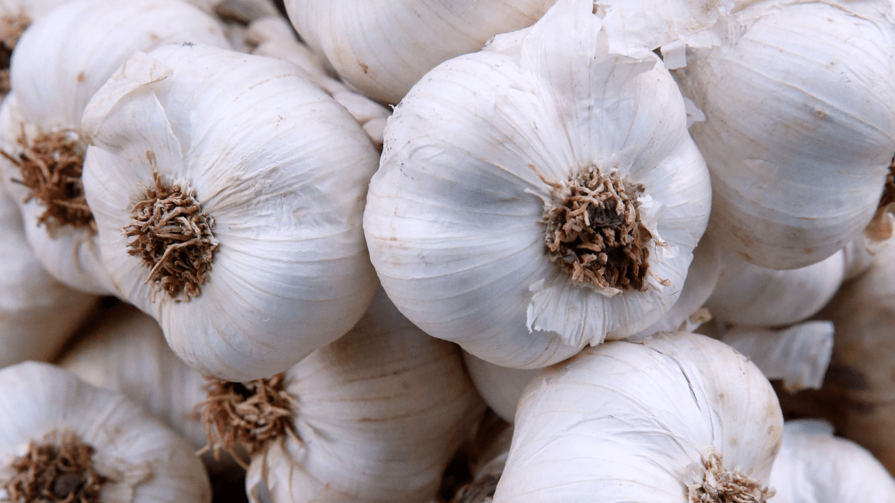 Garlic Rate: കുതിച്ചുകയറി വെളുത്തുള്ളി; കിലോയ്ക്ക് വില 440 രൂപ കടന്നു