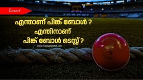 Pink Ball Test : എന്താണ് പിങ്ക് ബോൾ ടെസ്റ്റ്?; പിങ്ക് ബോളും റെഡ് ബോളും തമ്മിലുള്ള വ്യത്യാസമെന്ത്?