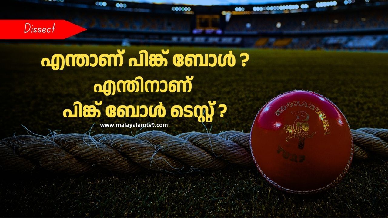 Pink Ball Test : എന്താണ് പിങ്ക് ബോൾ ടെസ്റ്റ്?; പിങ്ക് ബോളും റെഡ് ബോളും തമ്മിലുള്ള വ്യത്യാസമെന്ത്?