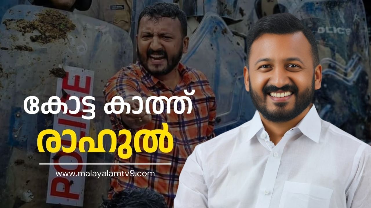 Palakkad By Election Result 2024: കോട്ടയ്ക്ക് കാവലായി രാഹുല്‍; പാലക്കാട്ടില്‍ മാങ്കൂട്ടത്തിലിന്റെ വോട്ടുകൂട്ടം