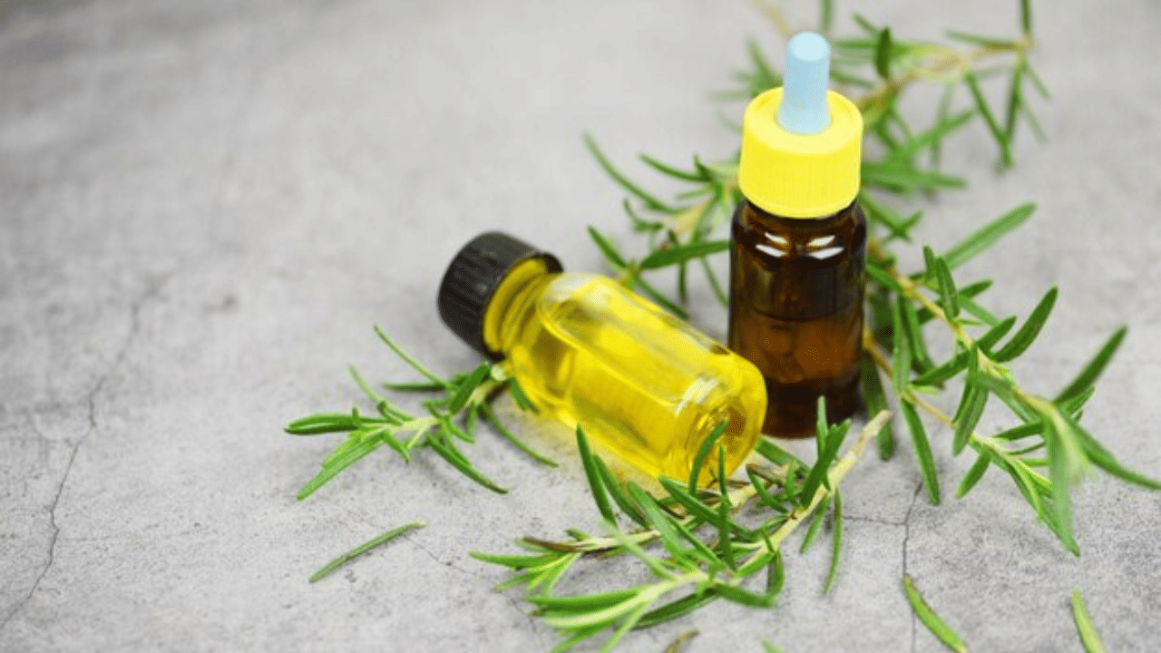 അകാലനരയെ തടയാനും റോസ്മേരി ഓയിൽ ഉപയോഗിക്കുന്നത് നല്ലതാണ്. തലയോട്ടിയെ ഹൈഡ്രേറ്റ് ചെയ്ത് നിലനിർത്താനും, പിഎച്ച് ലെവൽ ബാലൻസ് ചെയ്യാനും ഇവ വളരെയധികം സഹായിക്കും. (Image Credits: Freepik)