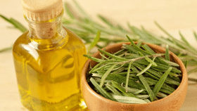 Rosemary Oil: മുടി കൊഴിച്ചിൽ മാറി തഴച്ചു വളരും… റോസ്‌മേരി ഓയിൽ ഇങ്ങനെ ഉപയോഗിക്കൂ