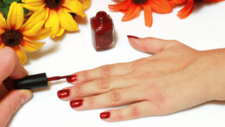 Veg dog food: വെജിറ്റേറിയൻ വളർത്തു നായയെ വേണോ… ഈ ഭക്ഷണങ്ങൾ പരിശീലിപ്പിക്കൂ…