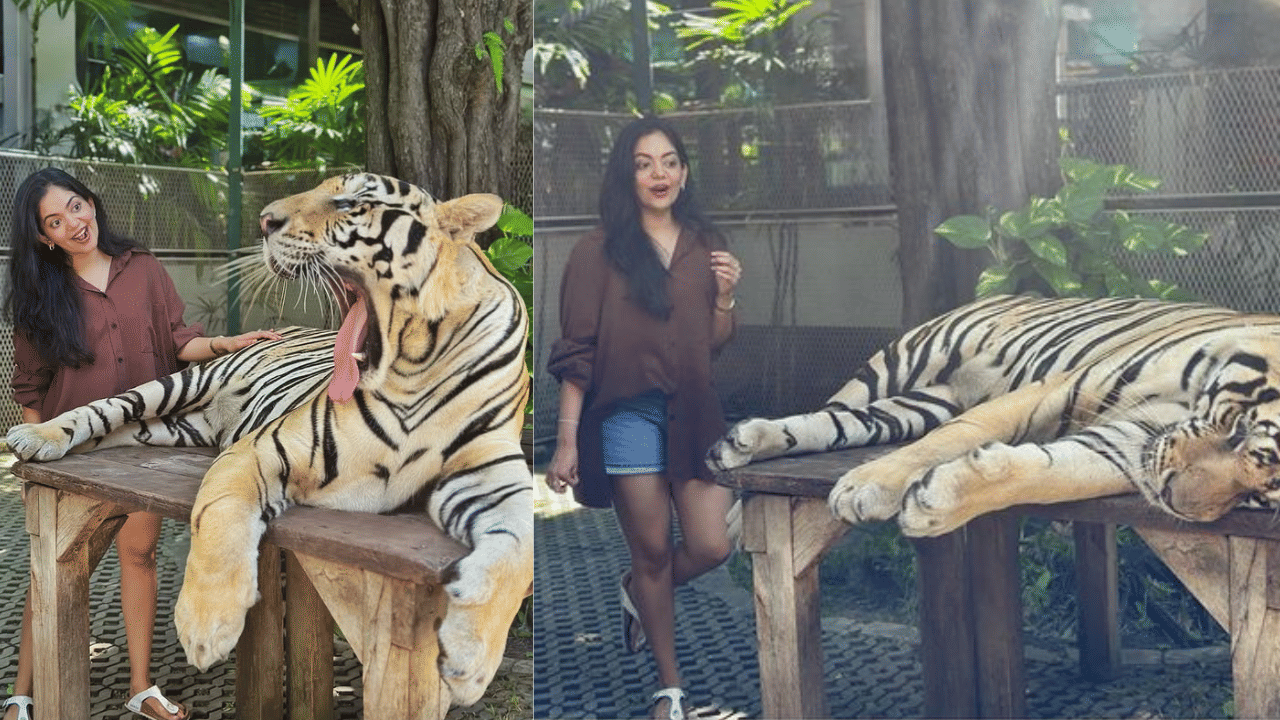 ഇൻസ്റ്റ​ഗ്രാമിലും യൂട്യൂബിലുമെല്ലാം തിളങ്ങി നിൽക്കുന്ന യുവനടിയാണ് അഹാന കൃഷ്ണ. താരത്തിൻ്റെ എല്ലാ വിശേഷങ്ങളും സമൂഹ മാധ്യമങ്ങളിലൂടെ പങ്കുവയ്ക്കാറുമുണ്ട്. ഇപ്പോഴിതാ  തായ്ലൻഡിലെ പട്ടായയിൽ നിന്നുള്ള ചിത്രങ്ങളാണ് തൻ്റെ ഇൻസ്റ്റ​ഗ്രാം അക്കൗണ്ടിലൂടെ അഹാന പങ്കുവച്ചിരിക്കുന്നത്. (Image Credits: Instagram)
