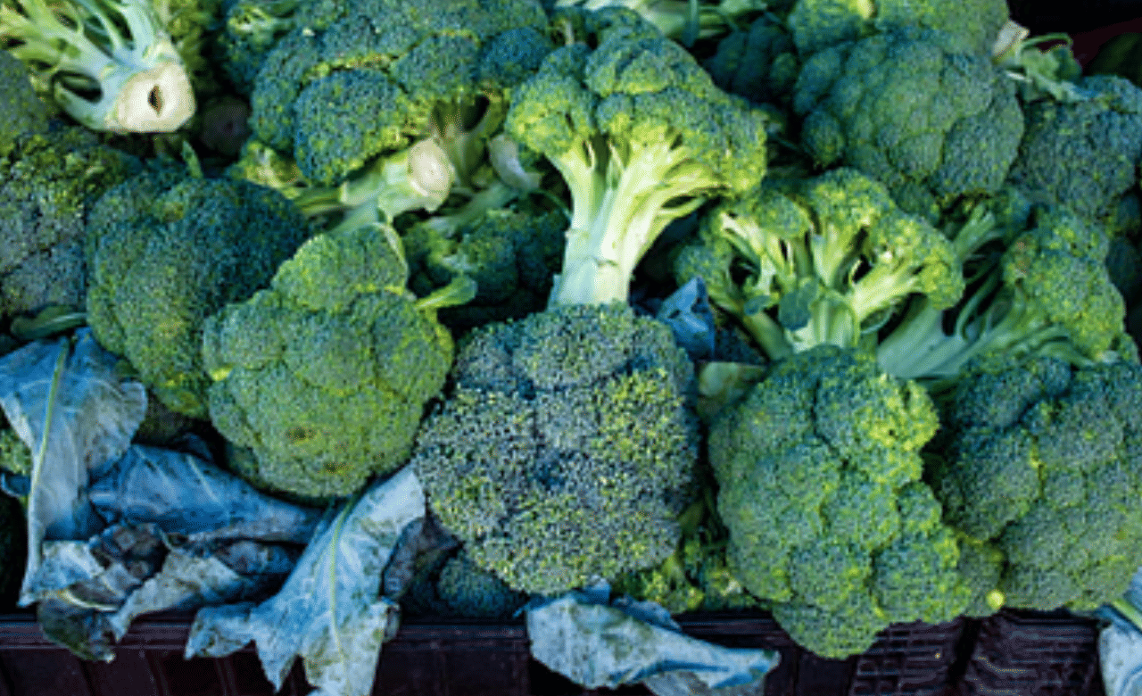 സ്തനങ്ങൾ, വൻകുടൽ, പ്രോസ്റ്റേറ്റ്, ശ്വാസകോശം എന്നിവയെ ബാധിക്കുന്ന അർബുദത്തെ ബ്രോക്കോളി കഴിക്കുന്നതിലൂടെ ഒരു പരിധി വരെ അകറ്റി നിർത്താൻ സാധിക്കും. ബ്രോക്കോളിക്കൊപ്പം കോളിഫ്ലവറും കാബേജും കഴിക്കുന്നത് രോഗപ്രതിരോധ ശേഷി ശക്തിപ്പെടുത്തും. (Image Credits: Getty Image)