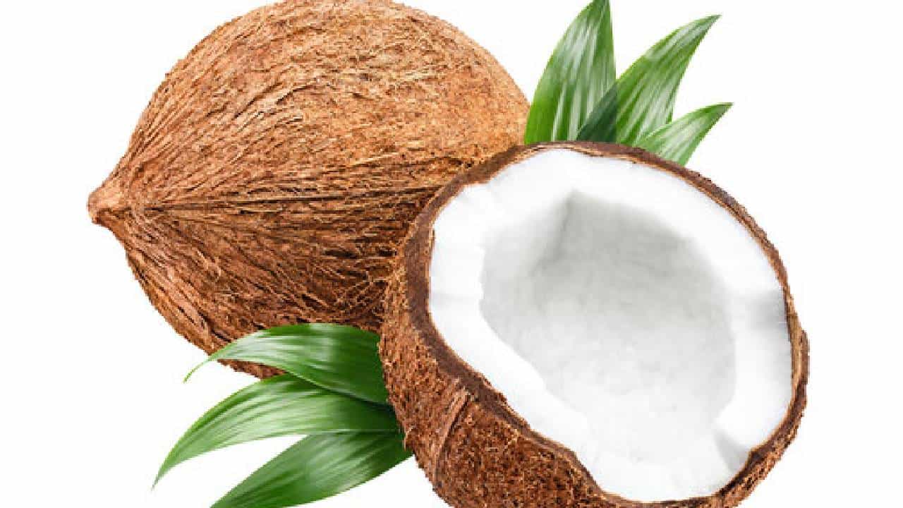 Coconut: പൊട്ടിച്ച തേങ്ങ കേടാകുമോയെന്ന പേടി വേണ്ട; മാസങ്ങളോളം കേടാകാതിരിക്കാൻ ഈ ഒരു ഐറ്റം മതി Coconut: പൊട്ടിച്ച തേങ്ങ കേടാകുമോയെന്ന പേടി വേണ്ട; മാസങ്ങളോളം കേടാകാതിരിക്കാൻ ഈ ഒരു ഐറ്റം മതി