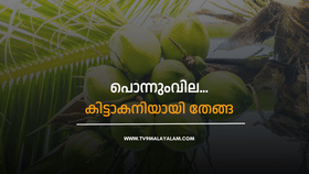 Coconut Price Hike: തേങ്ങക്ക് പൊന്നുംവില…11 രൂപ പാലക്കാട്; കിലോയ്ക്ക് 60 കടന്നു