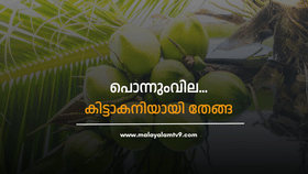 Coconut Price Hike: തേങ്ങക്ക് പൊന്നുംവില…11 രൂപ പാലക്കാട്; കിലോയ്ക്ക് 60 കടന്നു