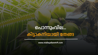 BSNL: ജിയോയ്ക്ക് ഇത് എന്തുപറ്റി; വരിക്കാരുടെ എണ്ണത്തിൽ കിതച്ച് ജിയോ; മുന്‍നിര കമ്പനികളെ മറികടന്ന് BSNL