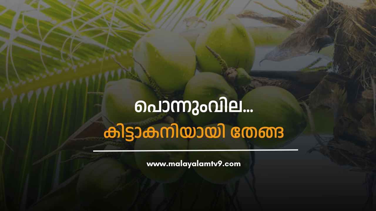 Coconut Price Hike: തേങ്ങക്ക് പൊന്നുംവില...11 രൂപ പാലക്കാട്; കിലോയ്ക്ക് 60 കടന്നു