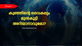 Pregnancy Scanning: വയറ്റിലുള്ള കുട്ടിയുടെ വൈകല്യം മുൻകൂട്ടി എങ്ങനെ തിരിച്ചറിയാം? ഗർഭകാല സ്കാനിങ് ഏതെല്ലാം, എന്തിന്? 