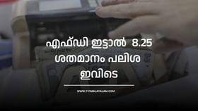 Fixed Deposits: എഫ്ഡി ഇട്ടാൽ  8.25 ശതമാനം വരെ പലിശ തരും, ഇവിടെ