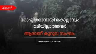 Kuruva Gang: പകൽ നിരീക്ഷണം, രാത്രി മോഷണം; കൊല്ലാനും മടിയില്ലാത്തവർ: ആരാണ് കുറുവ സംഘം