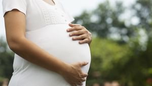 Pregnant Woman Assaulted: ഓടിക്കൊണ്ടിരിക്കുന്ന ട്രെയിനിൽ ഗർഭിണിക്ക് നേരെ ലൈംഗികാതിക്രമം; നിലവിളിച്ചപ്പോള്‍ ട്രെയിനിൽ നിന്ന് വലിച്ചെറിഞ്ഞു