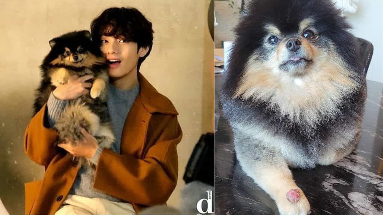 BTS V: അവന് വിട പറഞ്ഞു, അക്കാര്യം ആര്മിയുമായി പങ്കിടുന്നു; ദുഃഖ വാര്ത്തയുമായി വി BTS V: അവന് വിട പറഞ്ഞു, അക്കാര്യം ആര്മിയുമായി പങ്കിടുന്നു; ദുഃഖ വാര്ത്തയുമായി വി
