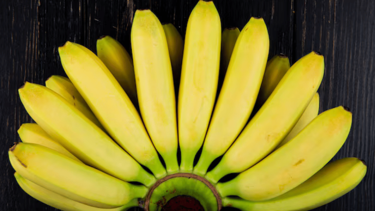 ഏത്തപ്പഴം എല്ലാവർക്കും ഇഷ്ടമുള്ള പഴങ്ങളിൽ ഒന്നാണ്. നിരവധി ആരോഗ്യ ഗുണങ്ങളുള്ള ഇവ പല വിഭവങ്ങൾ ഉണ്ടാക്കാനും നമ്മൾ ഉപയോഗിക്കുന്നു. രുചിയിൽ മാത്രമല്ല, വിറ്റാമിനുകൾ, ഇരുമ്പ്, നാരുകൾ എന്നിങ്ങനെ എല്ലാത്തരം പോഷകങ്ങളും നിറഞ്ഞതാണ് ഏത്തപ്പഴം. അതുകൊണ്ട് തന്നെ എല്ലാ പ്രായത്തിലുമുള്ള ആളുകൾക്ക് ഇത് ധൈര്യമായി കഴിക്കാവുന്നതാണ്. (Image Credits: Freepik)