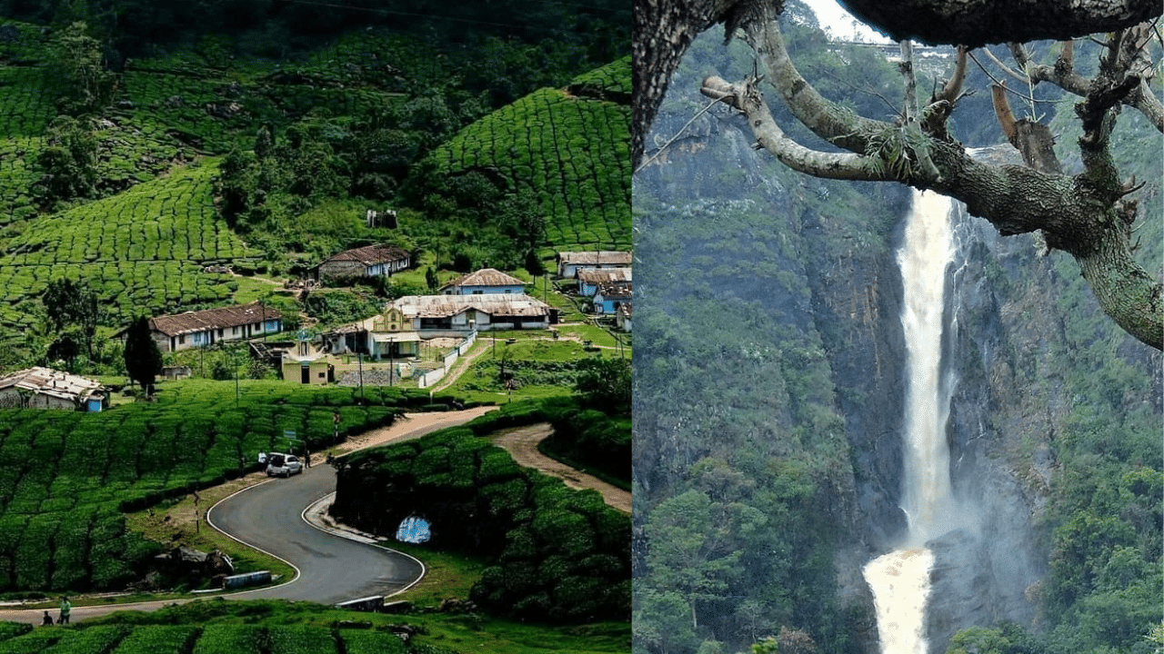 Top sights in Coonoor: ഇത്തവണ ട്രിപ്പ് ഊട്ടിക്ക് പകരം കൂനൂർ പിടിച്ചാലോ? ഡോൾഫിൻ നോസ് മുതൽ സിംസ് പാർക്ക് വരെ, കൂനൂരിൻ്റെ ഭംഗി വേറെ ലെവൽ