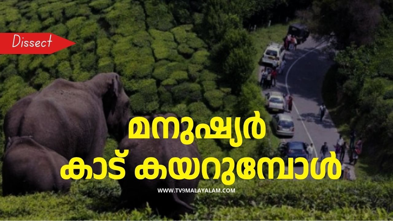 Wild Animal Attack: കാട് കയ്യേറുന്ന മനുഷ്യനും അവര്‍ക്കിടയിലെ മൃഗങ്ങളും; വന്യജീവി ആക്രമണത്തിന് കാരണം നമ്മള്‍ തന്നെയോ?