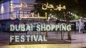 Dubai Shopping Festival : ദുബായ് ഷോപ്പിങ് ഫെസ്റ്റിവൽ: ഗെയിമിങ് സോൺ, ഔട്ട്ഡോർ സിനിമ; അൽ മർമൂം മരുഭൂമി ഇനിയിൽ ഇനി തിരക്കേറും