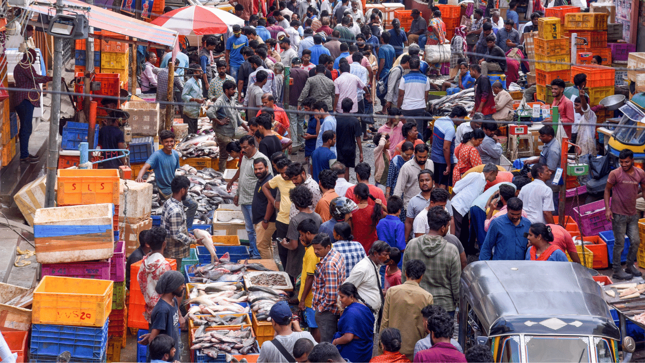 Kerala Fish Price: കുതിച്ചുയർന്ന് മീൻ വില; ആയിരം കടന്ന് അയ്ക്കൂറ, തൊട്ടു പിന്നാലെ ആവോലി