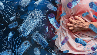 Kerala Lottery Results : ഒന്നാം സമ്മാനം 75 ലക്ഷം, ഇന്ന് തലവര തെളിഞ്ഞത് നിങ്ങളുടെയോ ? സ്ത്രീശക്തി ഭാഗ്യക്കുറി ഫലം ഇതാ