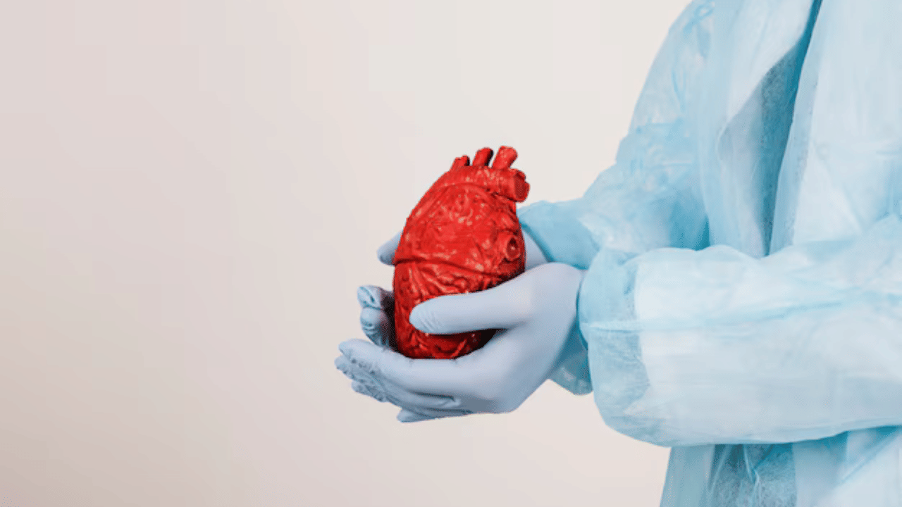 കൂടാതെ ഹൃദയത്തിലെ ഞരമ്പുകൾ വളരെ ചെറുതും നേർത്തതുമാണ്. അതിനാൽ അവയിൽ മുഴകൾ രൂപപ്പെടാനുള്ള സാധ്യത അത്രയും കുറവാണ്. അതിനാൽ ഹൃദയത്തിൽ ക്യാൻസർ ഉണ്ടാകാനുള്ള സാധ്യത കുറവാണ്. ശരീരത്തിലെ മറ്റ് അവയവങ്ങളുടെ കോശങ്ങളെപ്പോലെ ഹൃദയകോശങ്ങൾ വിഭജിക്കുകയോ വ്യാപിക്കുകയോ ചെയ്യാറില്ല. അത്തരമൊരു സാഹചര്യത്തിൽ, ഹൃദയത്തെ ക്യാൻസർ ബാധിക്കാനുള്ള സാധ്യത കുറവാണ്. (​Image Credits: Freepik)