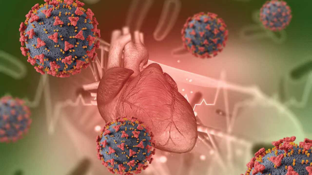 മറ്റെല്ലാ അവയവങ്ങളെയും ക്യാൻസർ രോ​ഗം ബാധിക്കുന്നതായി നാം കേട്ടിട്ടുണ്ട്. എന്നാൽ ഹൃദയത്തിൻ്റെ കാര്യത്തിൽ അക്കാര്യം കുറവെന്ന് മാത്രമല്ല കേട്ടിട്ടുതന്നെയില്ല. അതിൻ്റെ കാരണം എന്താണെന്ന് അറിയണ്ടേ. ഹൃദ്രോ​ഗ വി​ദ​ഗ്ധൻ ഡോ. അജിത് ജെയിനാണ് ഇതുമായി ബന്ധപ്പെട്ട വിവരം പങ്കുവയ്ക്കുന്നത്. ഹൃദയത്തെ ക്യാൻസർ ബാധിക്കുക എന്നത് അത്ര കേട്ടുകേൾവിയില്ല. കാരണം, ഹൃദയത്തിൻ്റെ പേശികൾ വളരെ ശക്തമായ ഒന്നാണ്. അവ ക്യാൻസർ കോശങ്ങളുടെ വളർച്ചയെ തടയുന്നു. (​Image Credits: Freepik)
