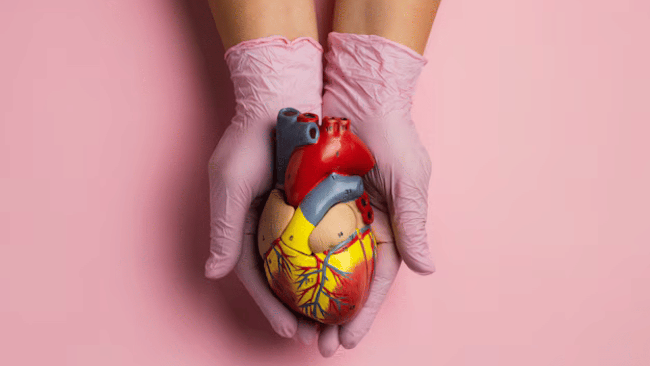 ഇന്നത്തെ മാറിയ ജീവതശൈലിയാണ് പ്രധാനമായും ഹൃദയത്തെ ബാധിക്കുന്ന പല അസുഖങ്ങൾക്കും കാരണം. ചെറുപ്പക്കാരിലും ഇന്ന് ഹൃദയസംബന്ധമായ അസുഖങ്ങൾ വളരെ കൂടുതലാണ്. എന്നാൽ ഹൃദയത്തെ ക്യാൻസർ ബാധിച്ചതായി നിങ്ങൾ എവിടെയെങ്കിലും കേട്ടിട്ടുണ്ടോ? ഇല്ലെങ്കിൽ അതിന് കാരണമെന്താണെന്ന് അറിയാമോ? (​Image Credits: Freepik)