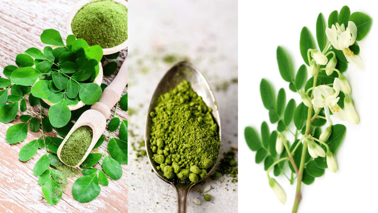 Hari Growth Tips: മുടി വളരാൻ മുരിങ്ങയില മാത്രം മതി...; ഇങ്ങനെ കഴിച്ചു നോക്കൂ Hari Growth Tips: മുടി വളരാൻ മുരിങ്ങയില മാത്രം മതി...; ഇങ്ങനെ കഴിച്ചു നോക്കൂ