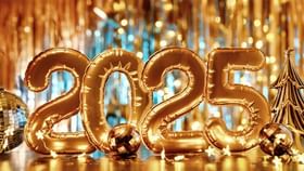 Happy New Year 2025: പ്രതീക്ഷകളുടെ 2025; പുതുവര്‍ഷത്തെ വരവേറ്റ് രാജ്യം