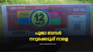 Pooja Bumper 2024: ഭാഗ്യാന്വേഷികളേ… പൂജാ ബമ്പർ വിൽപന 37 ലക്ഷം കടന്നു; മുന്നിൽ പാലക്കാട്