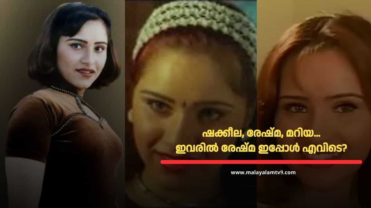 ഒരു കാലത്ത് തിയറ്റർ വ്യവസായത്തെ പിടിച്ചു നിർത്തിയ താരം, ഒടുവിൽ അനാശാസ്യവും അറസ്റ്റും; നടി രേഷ്മ ഇപ്പോൾ എവിടെയാണ്? ഒരു കാലത്ത് തിയറ്റർ വ്യവസായത്തെ പിടിച്ചു നിർത്തിയ താരം, ഒടുവിൽ അനാശാസ്യവും അറസ്റ്റും; നടി രേഷ്മ ഇപ്പോൾ എവിടെയാണ്?
