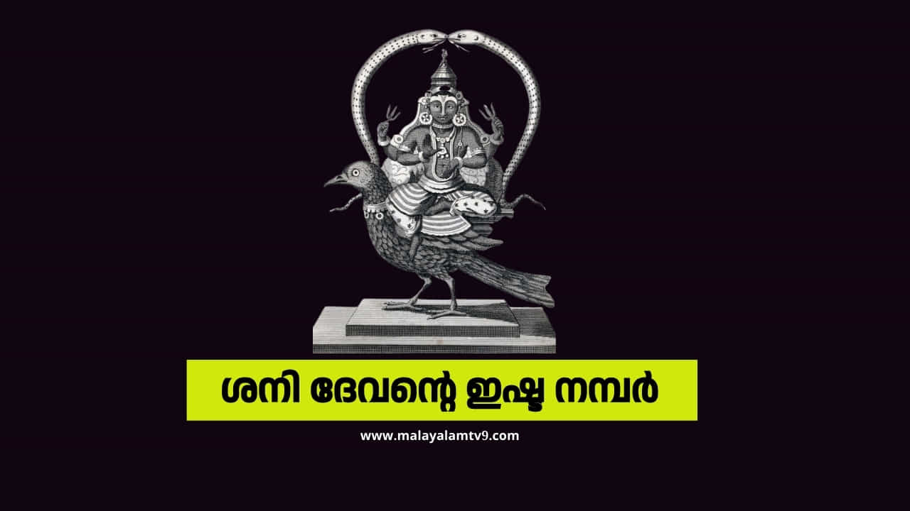Astrology Malayalam: ശനി ദേവൻ്റെ ഇഷ്ട നമ്പർ ഏതാണെന്ന് അറിയാമോ? ഈ തിയതികളിൽ ജനിച്ചവർക്ക് ശനിയുടെ അനുഗ്രഹം Astrology Malayalam: ശനി ദേവൻ്റെ ഇഷ്ട നമ്പർ ഏതാണെന്ന് അറിയാമോ? ഈ തിയതികളിൽ ജനിച്ചവർക്ക് ശനിയുടെ അനുഗ്രഹം