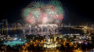 Plane crash in South Korea : ദക്ഷിണ കൊറിയയിലെ വിമാന ദുരന്തം, മരണസംഖ്യ ഉയരുന്നു