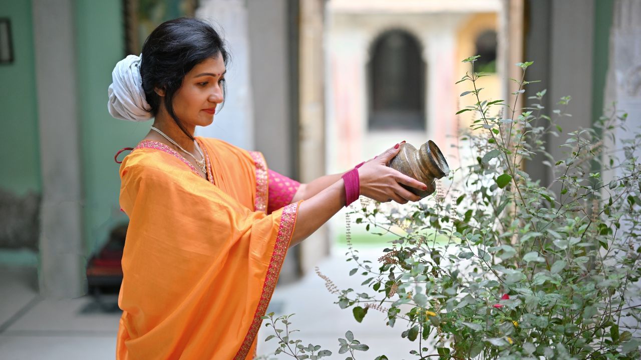 തുളസി എന്നത് ലക്ഷ്മീദേവിയുടെ പ്രതിരൂപമാണ്. അതിനാല് തന്നെ തുളസിച്ചെടിയുടെ അടുത്ത് ചെരുപ്പുകള് സൂക്ഷിക്കുന്നത് ദേവീകോപത്തിന് കാരണമാകും. ഇത് വീട്ടില് സാമ്പത്തിക പ്രതിസന്ധി ഉണ്ടാക്കുന്നതിലേക്ക് കാര്യങ്ങളെത്തിക്കും. (Image Credits: Mayur Kakade/Getty Images Creative)