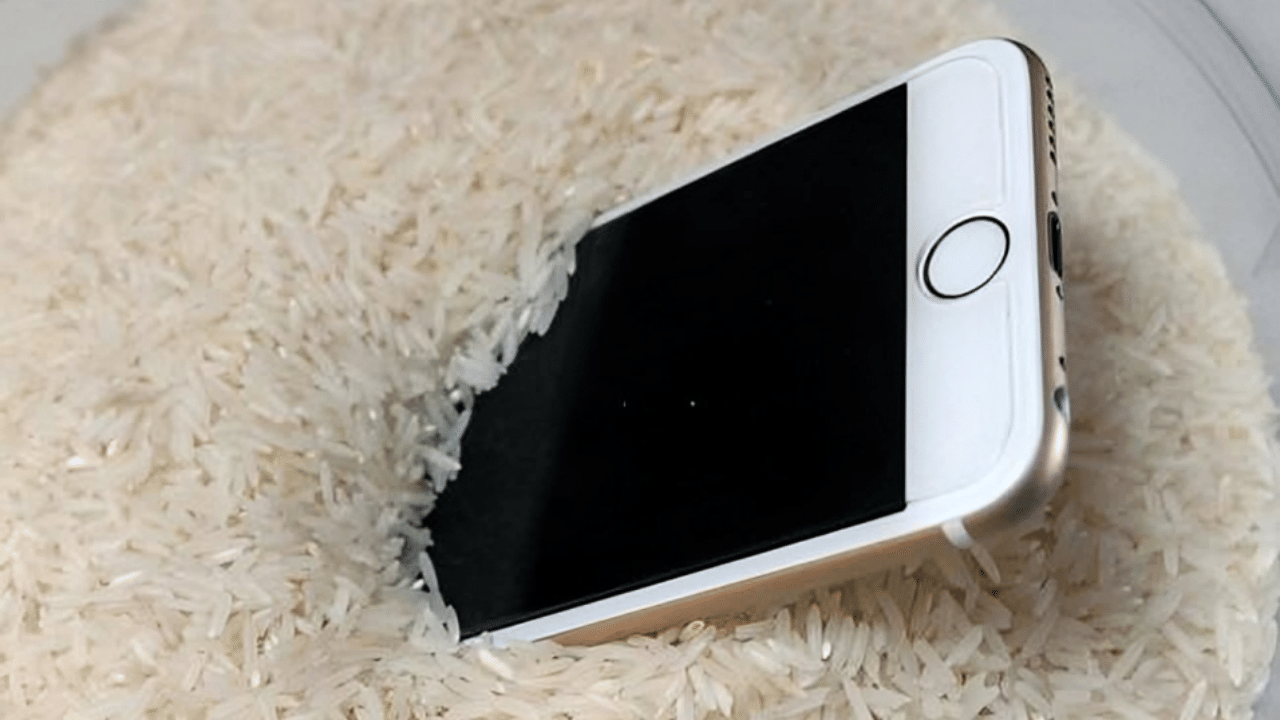 Water-Damage Phone: ഫോണ് വെള്ളത്തിൽ വീണാല് അരിയിൽ പൂഴ്ത്തി വയ്ക്കാറുണ്ടോ? ശ്രദ്ധിക്കാം ഇക്കാര്യങ്ങൾ Water-Damage Phone: ഫോണ് വെള്ളത്തിൽ വീണാല് അരിയിൽ പൂഴ്ത്തി വയ്ക്കാറുണ്ടോ? ശ്രദ്ധിക്കാം ഇക്കാര്യങ്ങൾ