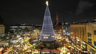 Christmas Tree : ക്രിസ്മസ് ട്രീ ആദ്യമായി ഇലക്ട്രിക് ലൈറ്റുകളാല്‍ അലങ്കരിച്ചിട്ട് 142 വര്‍ഷം, ചരിത്രം ഇങ്ങനെ