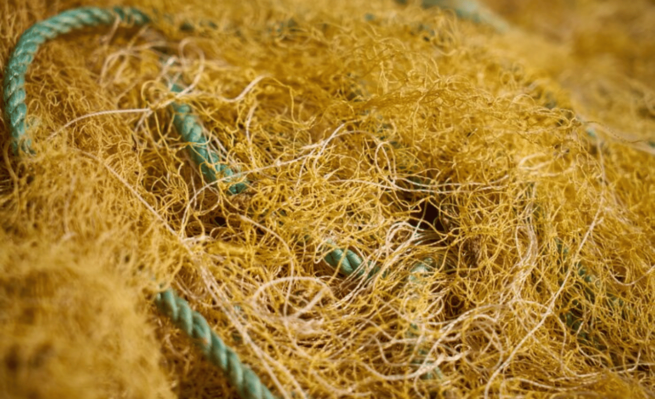 ജനുവരി 10- നകം താത്പര്യമുള്ളവർ അപേക്ഷ സമർപ്പിക്കണം. ഒരു വർഷം ക്ലാസും മൂന്ന് മാസം ഇന്റേൺഷിപ്പും അടങ്ങുന്നതാണ് കോഴ്സ്. പ്ലസ്ടു തതുല്യ യോ​ഗ്യത ഉള്ളവർക്ക് അപേക്ഷിക്കാം.  (Image Credits: Freepik)