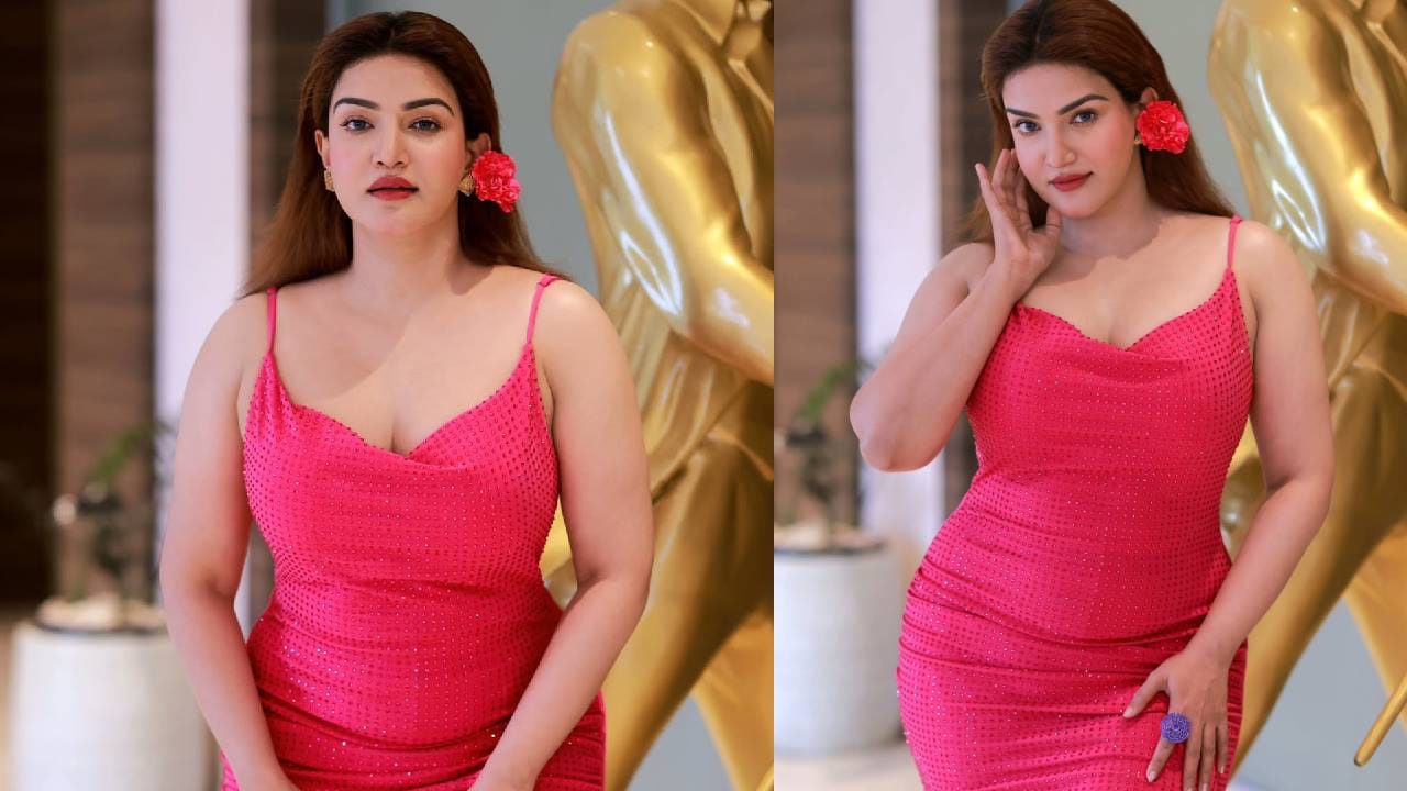 സമൂഹമാധ്യമങ്ങൾ ഇത്രയും സജീവമാകുന്നതിന് മുൻപ് ഒരു പരിപാടിയിൽ പാടിയിട്ടുണ്ടെന്നും അന്ന് അവിടെ കൂടെ നിന്നവർ ഭയങ്കര ചിരിയായിരുന്നു എന്നും താരം വെളിപ്പെടുത്തി. എന്നാൽ ആദ്യം പാടാൻ വിസമ്മതിച്ചെങ്കിലും, പിന്നീട് ആരാധകർക്കായി പാടുകയായിരുന്നു.  പ്രശസ്തമായ ജിംഗിൾ ബെൽസ് എന്ന ഗാനമാണ് താരം ആരാധകർക്കായി  ആലപിച്ചത്.  (​image credits: instagram)
