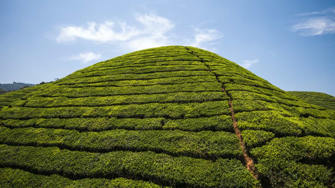 Best places To Travel December In Kerala : ക്രിസ്മസ് അല്ലേ, അല്പം തണുപ്പാകാം; വേഗം വിട്ടോളൂ ഇവിടേക്ക് Best places To Travel December In Kerala : ക്രിസ്മസ് അല്ലേ, അല്പം തണുപ്പാകാം; വേഗം വിട്ടോളൂ ഇവിടേക്ക്