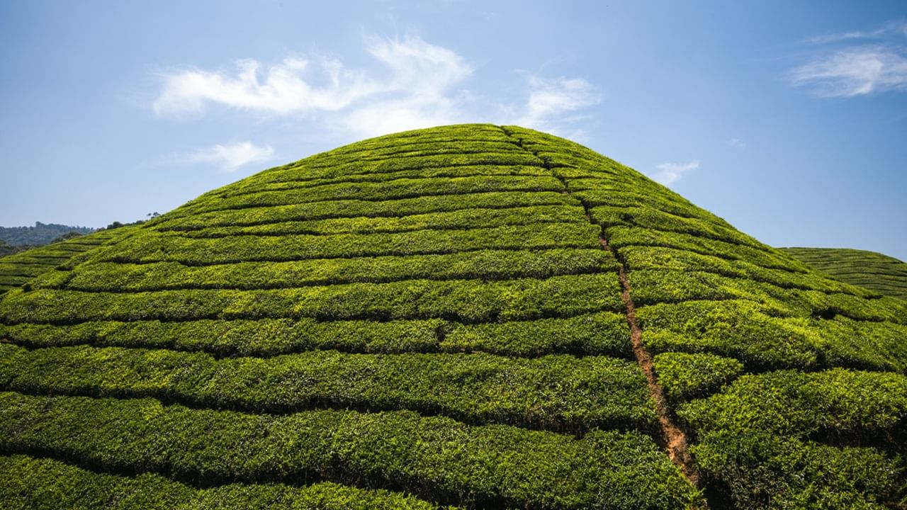 Best places To Travel December In Kerala : ക്രിസ്മസ് അല്ലേ, അല്പം തണുപ്പാകാം; വേഗം വിട്ടോളൂ ഇവിടേക്ക് Best places To Travel December In Kerala : ക്രിസ്മസ് അല്ലേ, അല്പം തണുപ്പാകാം; വേഗം വിട്ടോളൂ ഇവിടേക്ക്