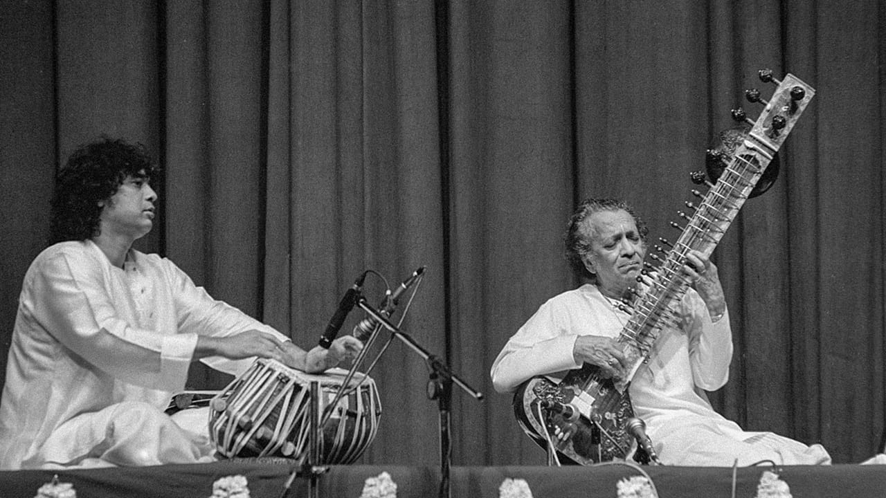 മാധ്യമ റിപ്പോര്‍ട്ടുകള്‍ പ്രകാരം, ഏകദേശം 1 മില്യണ്‍ ഡോളര്‍ (ഏകദേശം 8.48 കോടി രൂപ) ആണ് അദ്ദേഹത്തിന്റെ ആസ്തി. തന്റെ സംഗീതപരിപാടികള്‍ക്ക് അദ്ദേഹം ഒരു പ്രകടനത്തിന് 5-10 ലക്ഷം വാങ്ങിയിരുന്നുവെന്ന് റിപ്പോര്‍ട്ട് (image credits : PTI)