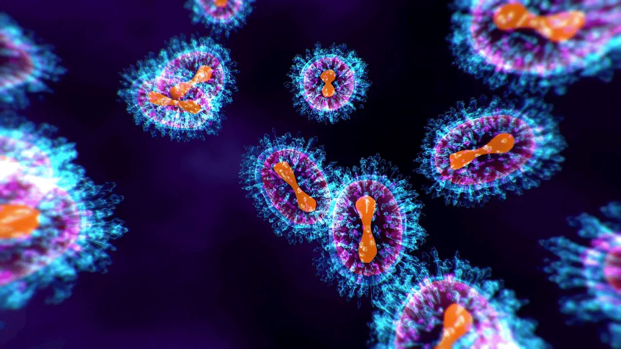 Congo Fever: കോംഗോ പനി ബാധിച്ച് മരണം; എന്താണ് കോംഗോ പനി? ലക്ഷണങ്ങൾ എന്തെല്ലാം?