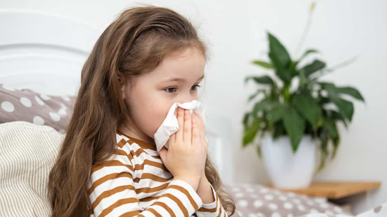 HMPV Covid Vaccine: എച്ച്എംപിവി രോഗബാധ; കൊവിഡ് വാക്സിൻ ബൂസ്റ്റർ എടുത്താൽ വൈറസ് തടയാനാവുമോ? HMPV Covid Vaccine: എച്ച്എംപിവി രോഗബാധ; കൊവിഡ് വാക്സിൻ ബൂസ്റ്റർ എടുത്താൽ വൈറസ് തടയാനാവുമോ?