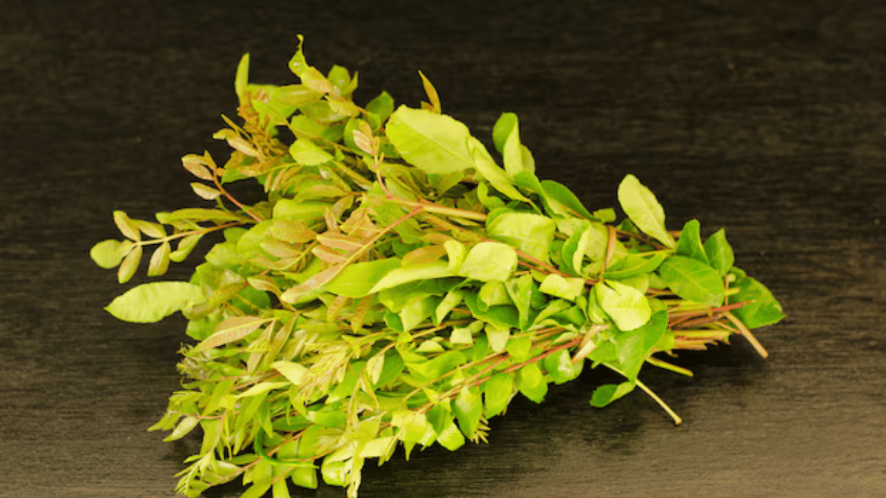 പാചകം കഴിഞ്ഞാൽ അടുക്കള വൃത്തിയാക്കുക ഏറെ ബുദ്ധിമുട്ടുള്ള കാര്യമാണ്. എത്ര വൃത്തയാക്കിയാലും ചിലപ്പോൾ ചില ദുർഗന്ധം മാറുകയുമില്ല. കറിവേപ്പില കൊണ്ട് അടുക്കള വൃത്തിയാക്കാം എന്ന് പറഞ്ഞാൽ നിങ്ങൾ വിശ്വസിക്കുമോ? സുഗന്ധമുള്ള ഈ ഇല വൃത്തിയാക്കാനുള്ള നല്ലൊരു പരിഹാരമാണ്.