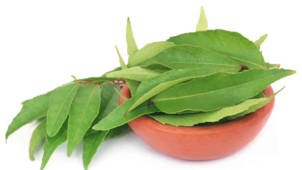 Use Curry Leaves For Kitchen Cleaning