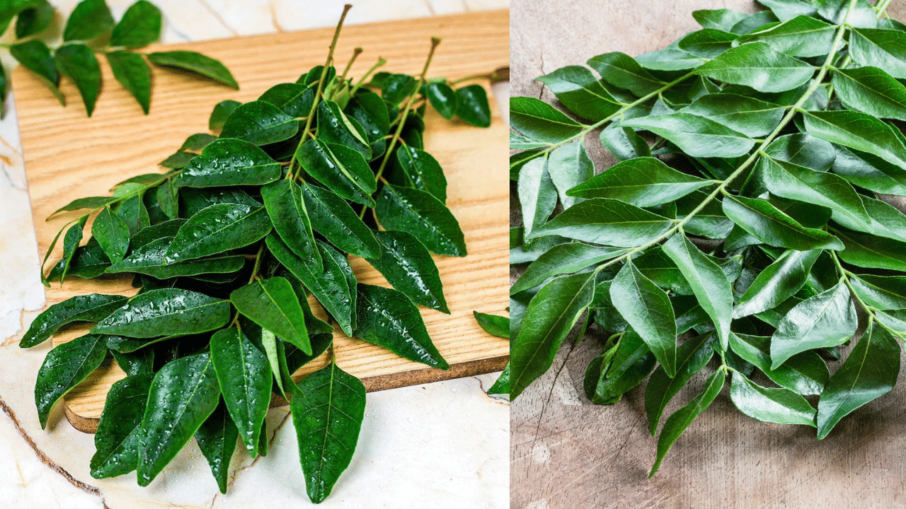 Use Curry Leaves For Kitchen Cleaning