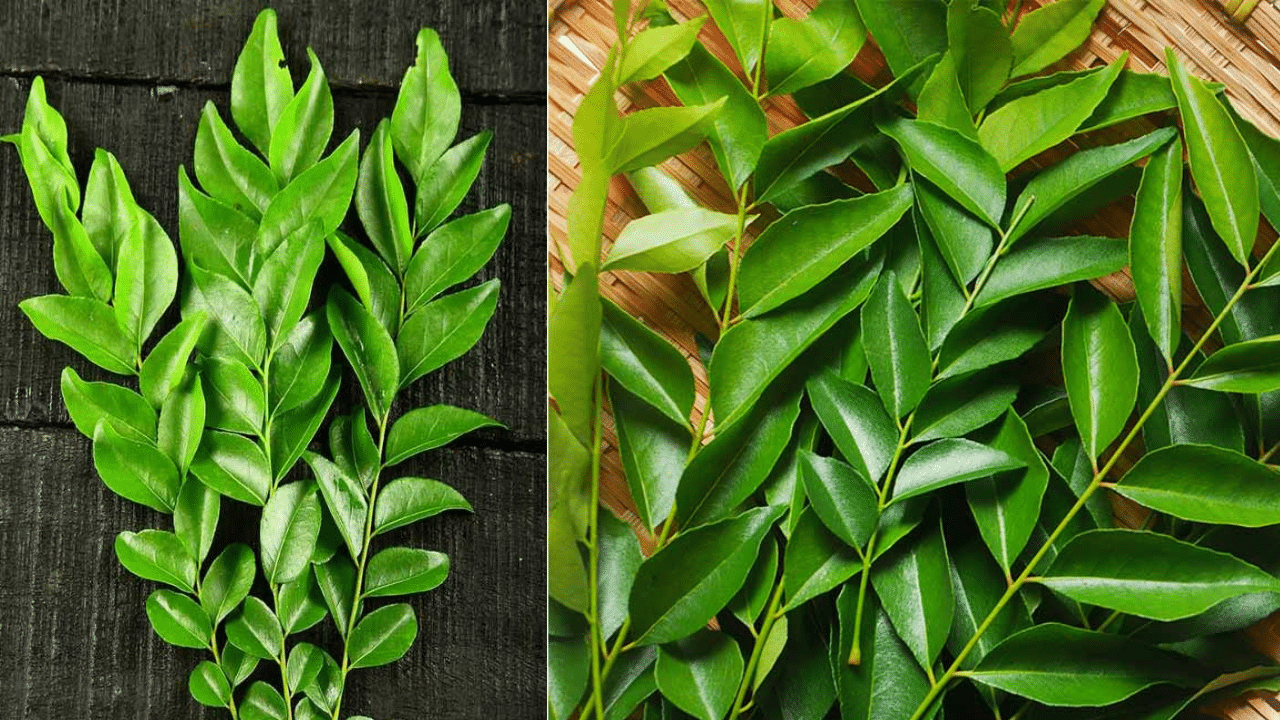 Use Curry Leaves For Kitchen Cleaning