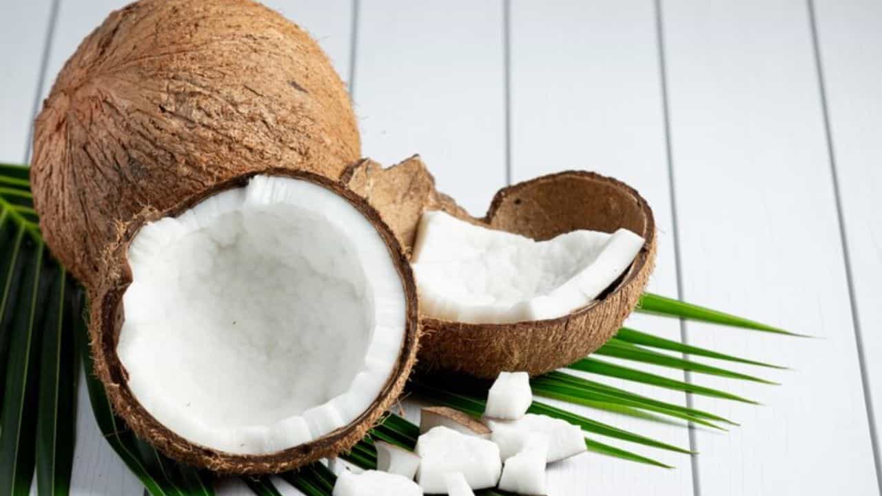 Health Tips: കൊളസ്ട്രോള് കൂടുമെന്ന് കരുതി തേങ്ങ കഴിക്കാതിരിക്കുന്നുണ്ടോ? Health Tips: കൊളസ്ട്രോള് കൂടുമെന്ന് കരുതി തേങ്ങ കഴിക്കാതിരിക്കുന്നുണ്ടോ?