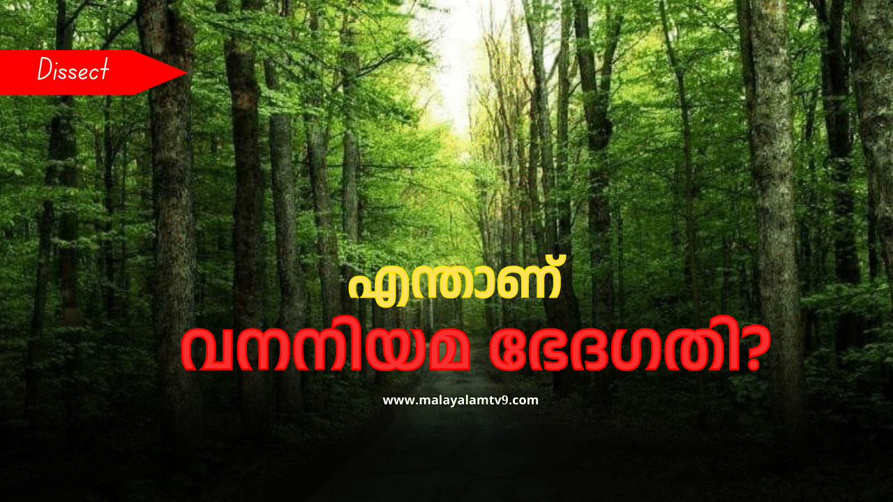 Forest Act Amendment Bill: പ്രതിഷേധത്തിനൊടുവിൽ സർക്കാരും ഉപേക്ഷിച്ചു; എന്താണ് വനംനിയമ ഭേദഗതി? എതിര്‍പ്പ് എന്തിന്? അറിയാം വിശദമായി